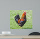 Rooster