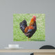 Rooster