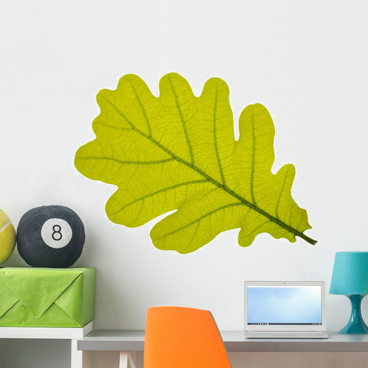 Oak oak leaf tree Wall Decal