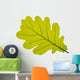 Oak oak leaf tree Wall Decal
