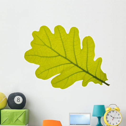 Oak oak leaf tree Wall Decal