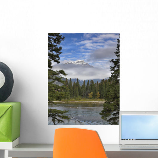 Stream Wall Mural