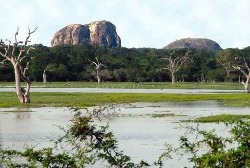 Elephant Rock Yala National Park Wall Decal