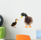 Ducks