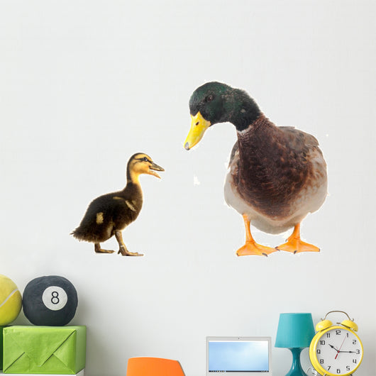 Ducks