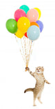 Balloon Floating Kitten Wall Decal