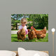 Girl Feeding Chickens