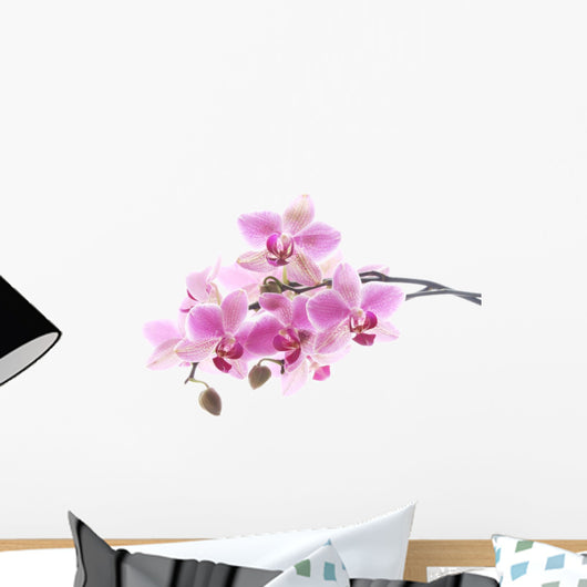 Purple Orchid Wall Decal