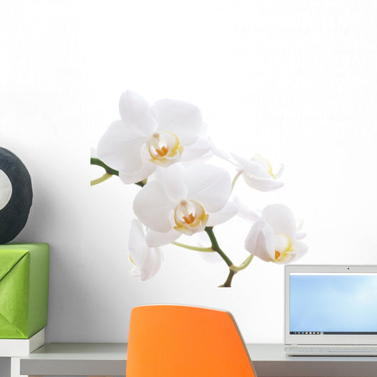 White Orchid Wall Decal Design 1