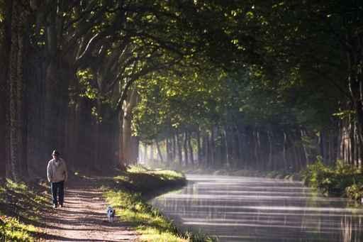 Au Bord Du Canal Wall Decal Design 1