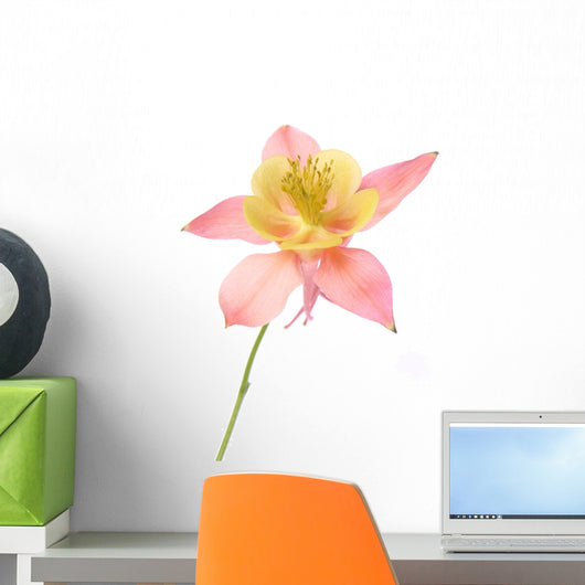 Pink and Yellow Columbine Wall Decal