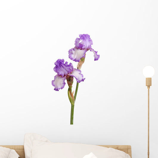 Stem Purple Iris Flowers Wall Decal