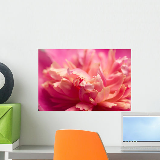 Peony Macro Wall Decal