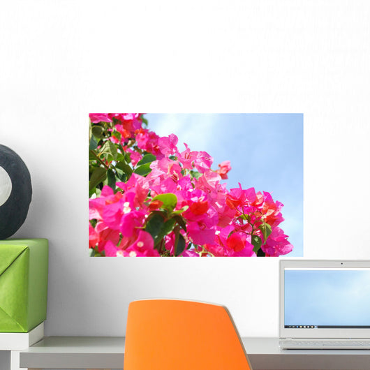Bougainvillea Wall Decal