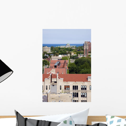 University Chicago Campus Aerial Wall Decal