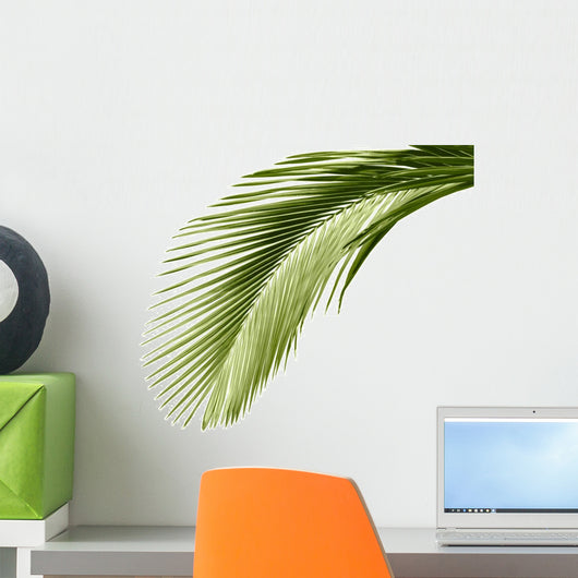 Leaves Palm Tree Wall Decal