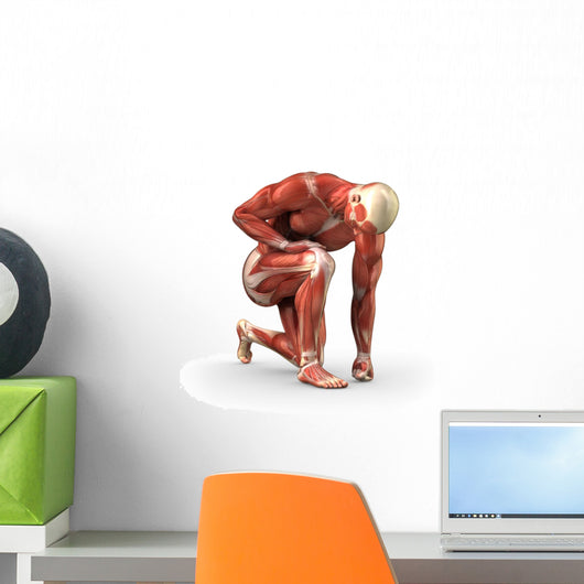 Man with Visible Muscles Wall Decal
