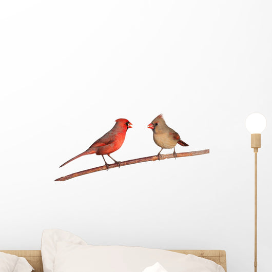 Two Cardinals Wall Decal