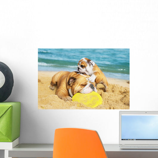 English Bulldogs Playing Beach Wall Decal