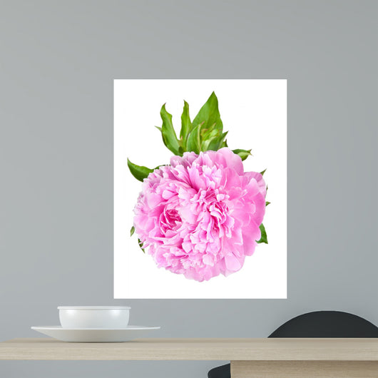 Peonies Wall Decal Design 2