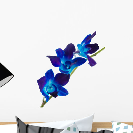 Orchid Wall Decal
