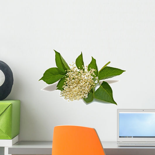 Elder Wall Decal