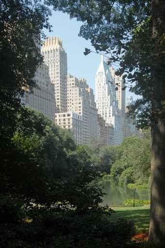 Central Park Wall Decal Design 2