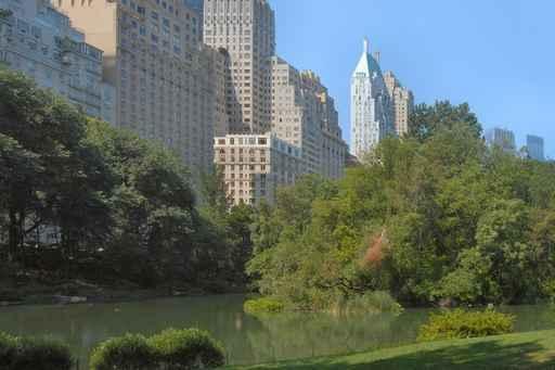 Central Park Wall Decal Design 1