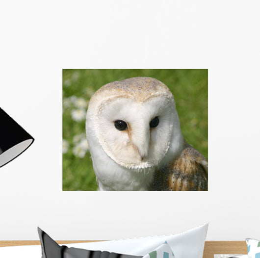 Wise Snowy Owl Wall Decal