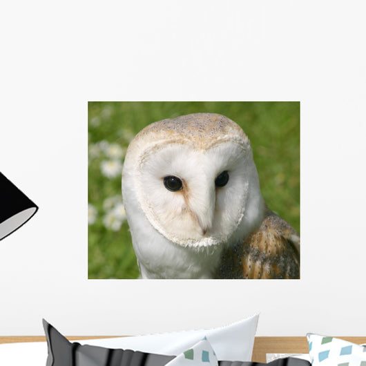 Wise Snowy Owl Wall Decal