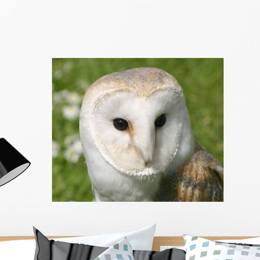 Wise Snowy Owl Wall Decal