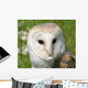 Wise Snowy Owl Wall Decal