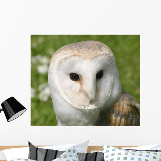Wise Snowy Owl Wall Decal