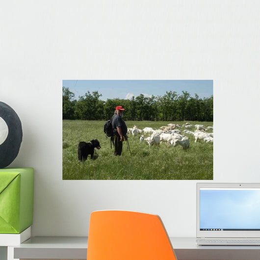 Hirte Der Provence Wall Decal
