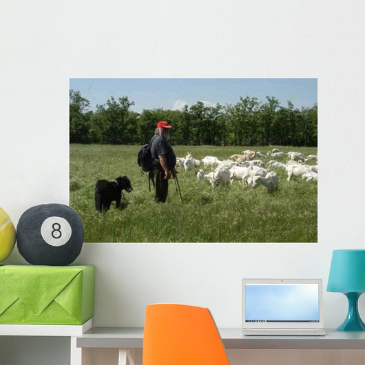 Hirte Der Provence Wall Decal