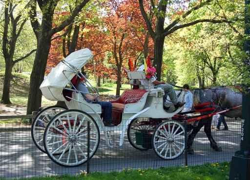 Horse and Carriage Wall Decal