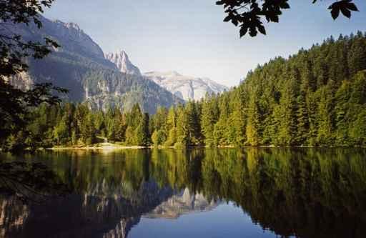 Lago Di Tovel Wall Decal