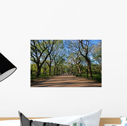 Central Park Avenue Wall Decal