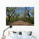 Central Park Avenue Wall Decal