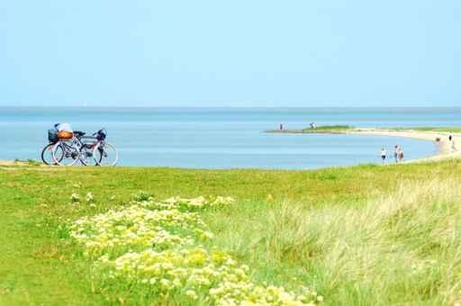 Bicycle Ride Coast Wall Decal