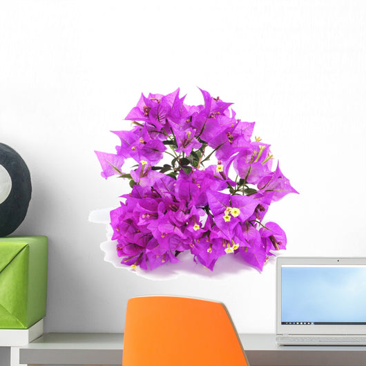 Bougainvillea Wall Decal