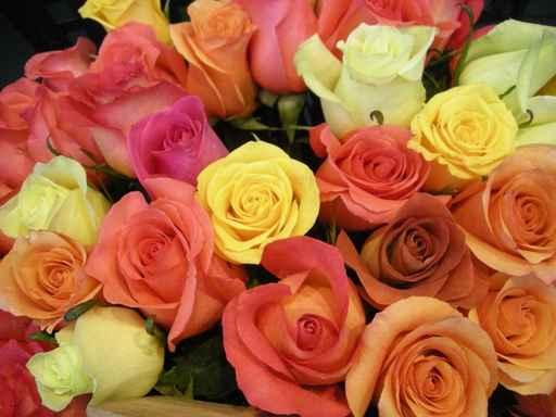 One Rose Many Roses Wall Decal