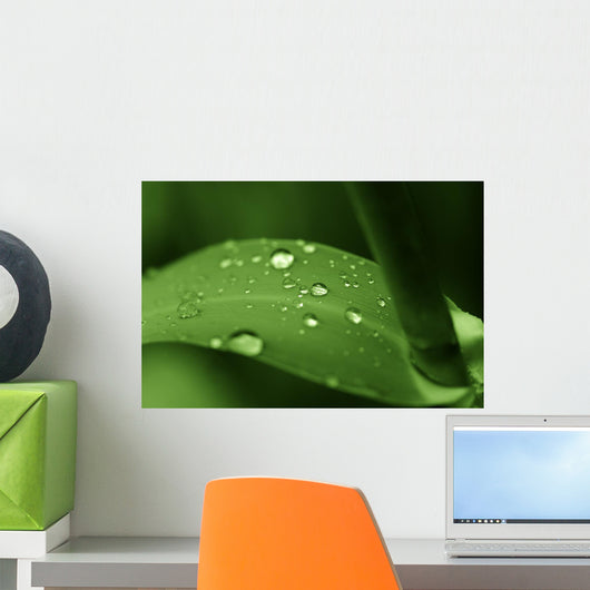 Leaf with Water Drops Wall Decal