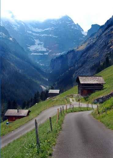 Small Road to Paradise Wall Decal