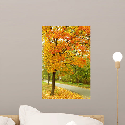 Autumn Park Wall Decal
