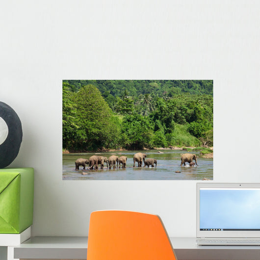 Elephant Family Wall Decal