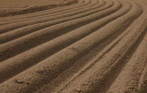 Ploughed Field Wall Decal