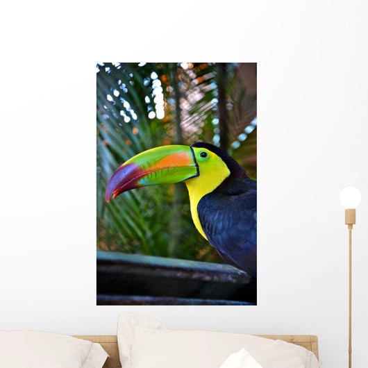 Colorful Toucan Bird Mexico Wall Decal