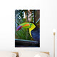 Colorful Toucan Bird Mexico Wall Decal