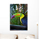 Colorful Toucan Bird Mexico Wall Decal